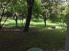 -天目湖御水温泉·度假酒店