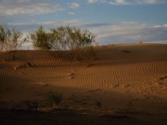 -亿利库布其七星湖沙漠生态旅游区