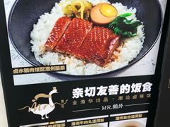 -MR鹅外