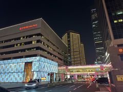 -羲和雅苑•北京烤鸭(国贸商城店)