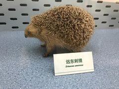 -中国湿地博物馆