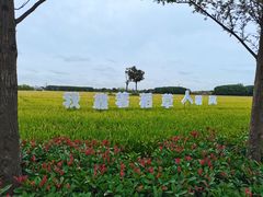 -嘉北郊野公园