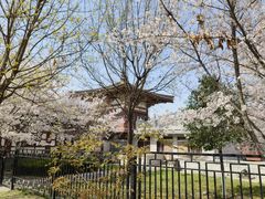 -西安青龙寺遗址景区