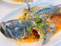 老虎斑清蒸-渔中舟海鲜大排档(普陀沈家门店)