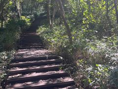 -南山风景名胜区