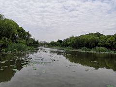 -新江湾城公园