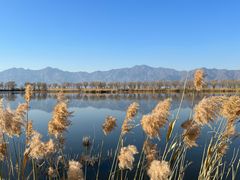 -野鸭湖国家湿地公园