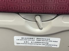 -金鹏航空有限责任公司(祝潘公路店)