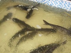 -锅老头铁锅炖•大锅蒸汽海鲜(韩乐坊店)