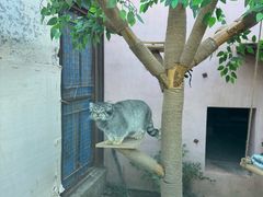 -青藏高原野生动物园