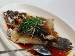 -东莞美怡登酒店(常平南站店)