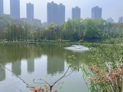 -重庆彩云湖湿地公园