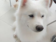 -怪兽屋·羊驼·猫咖·狗咖(俊华广场店)