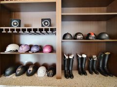 -北京群众马术培训基地