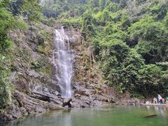 -鼎湖山风景区