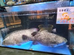 -金翠皇宫粤菜·点心·海鲜(科技园店)