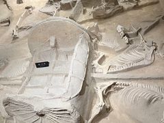 -洛阳周王城天子驾六博物馆