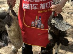 -坛南湾阿强农家乐.海鲜大排档老字号(福州地标美食店)