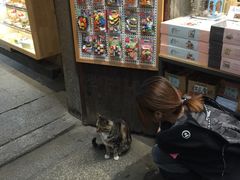 -猫的天空之城概念书店(苏州平江店)