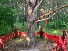 -北极村旅游风景区