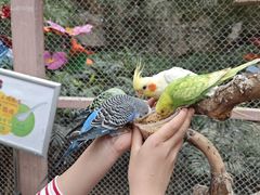 -南宫五洲植物乐园