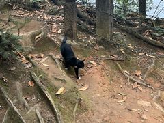 -青城山