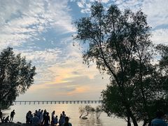 -宝安西湾红树林湿地公园