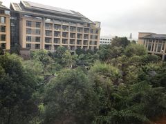 -昆明洲际酒店