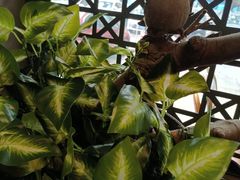 -湘当爱·鲜煮现炒(松岗立业路店)