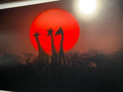 -罗红摄影艺术馆