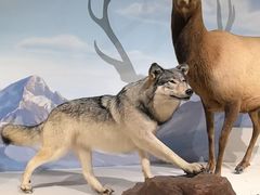 -陕西自然博物馆