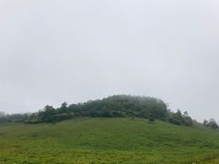 -关山草原