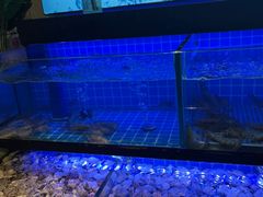 -透明思烤·自助烤肉海鲜火锅(东部星悦天地店)