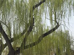 -迎泽公园