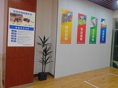 -临港奉贤体育中心
