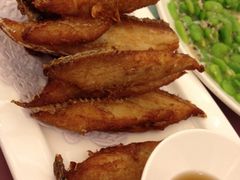 -新花城蟹粉馆(乌鲁木齐店)