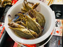 飞蟹-钱库里海鲜自助(星海广场店)