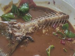 -天乐农家鱼头王(天目湖店)