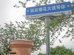 -上海辰山植物园