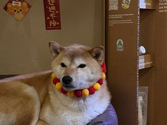 -About Bistro關於·泰式家庭料理