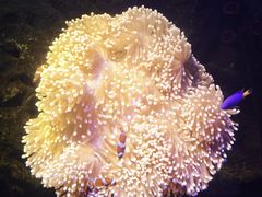 -沈阳海洋探索中心