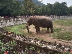 -西安秦岭野生动物园