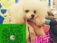 -中农大我爱我爱24h动物医院·中医针灸·猫专科·骨科医疗中心(双井店)