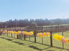 -太阳岛度假酒店