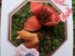 -黎恩凉茶·果汁(广卫路店)