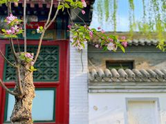 -元大都城垣遗址公园