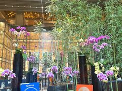 -天津君隆威斯汀酒店