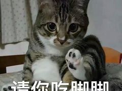 -上海交通大学新疆餐厅