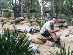 -费瑟代尔野生动物园