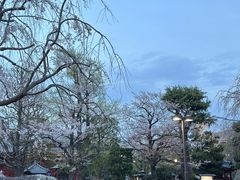 -浅草寺